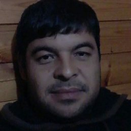 �����, ���������, 40 ���