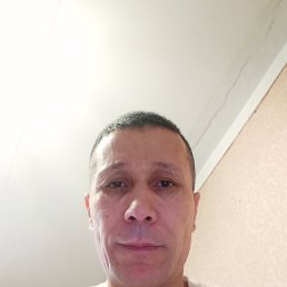 �����, ������, 48 ���