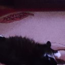 ���� ������, �����, 83 ���� - ��������� 19 ��� 2023 � ������ ���� ����������
