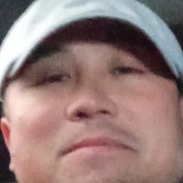 �����, ������, 41 ���