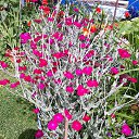 ���� ������, �����-���������, 70 ��� - ��������� 23 ���� 2023 � ������ ���� ����������