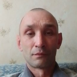 ������, ������, 49 ���