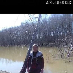 ������, �����, 41 ���