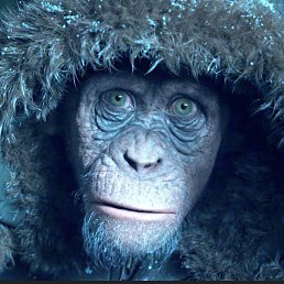 ����, ������������, 54 ����