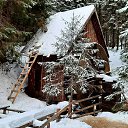 ���� ��������, ���������, 61 ��� - ��������� 3 ��� 2023 � ������ ���� ����������