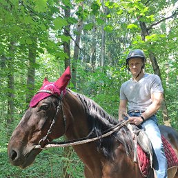 ���� �����, ������, 44 ���� - ��������� 29 ������� 2023