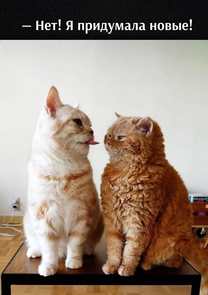       - 22  2023  17:07 - 3