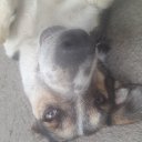 ���� ���, �������, 23 ���� - ��������� 30 �������� 2023 � ������ ���� ����������