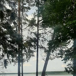 ���� ������, ������, 38 ��� - ��������� 12 ������� 2023