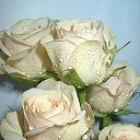 ���� ����, ������, 38 ��� - ��������� 5 ��� 2023 � ������ ���� ����������