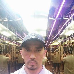 �����, �������, 36 ���