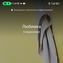 �����, �������, 38 ���