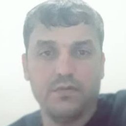 �����, ������, 36 ���