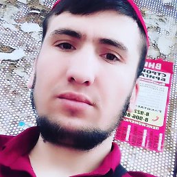 ����, �����-���������, 28 ���