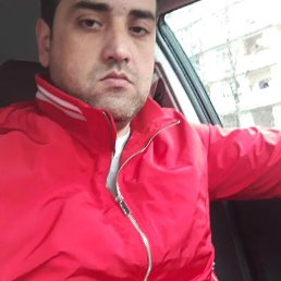 Toto, ������, 42 ����