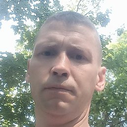 �������, ���, 37 ���