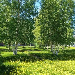 ������, ������ ��������, 40 ���