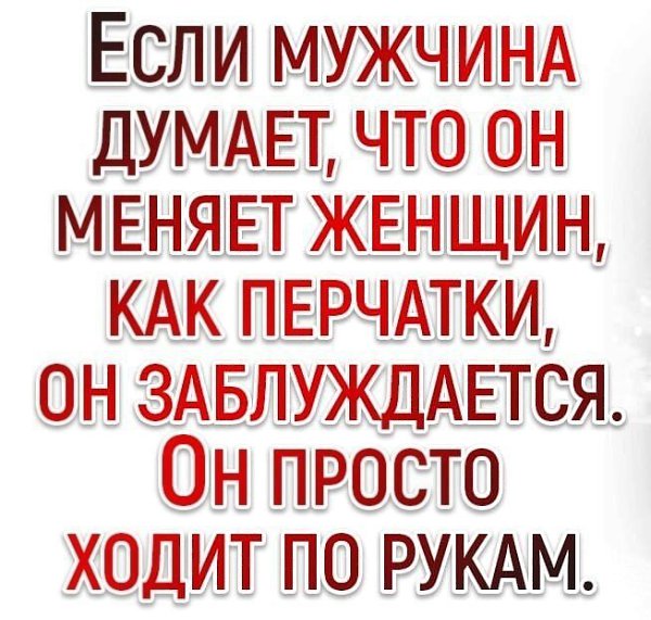 ������ �������� - 19 ������� 2023 � 15:57