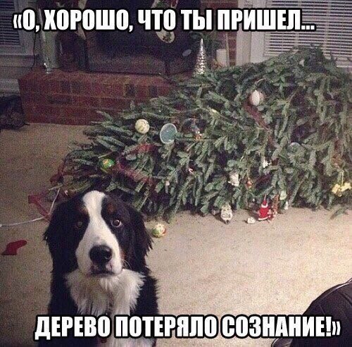 ��� �������� �������� - 13 ������ 2023 � 00:13