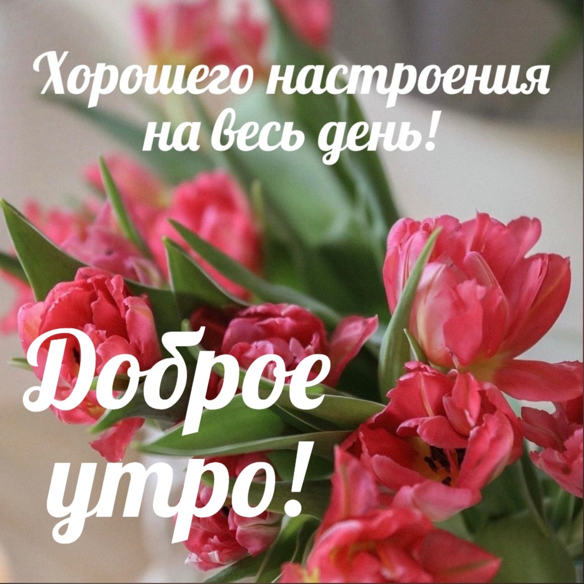  - 18  2023  11:05