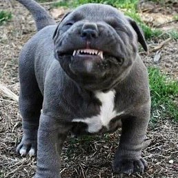 ���� �����, ������, 44 ���� - ��������� 21 ������� 2023