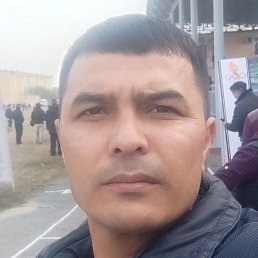 ������, �����, 44 ����