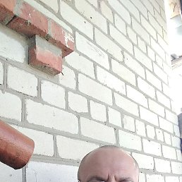 , , 51 