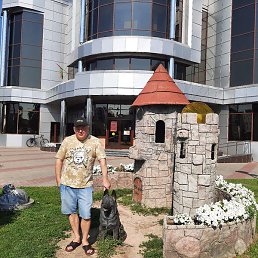 �����, ������, 51 ���