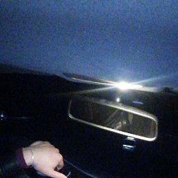 ������, �������, 36 ���