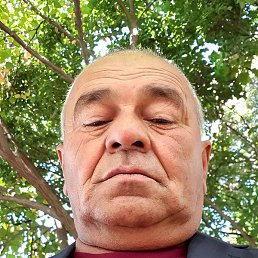 �����, �������, 58 ���