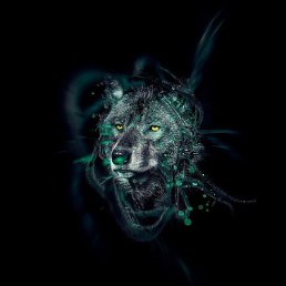 Sabit, ����, 41 ���