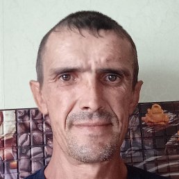 ���������, ����������, 43 ����