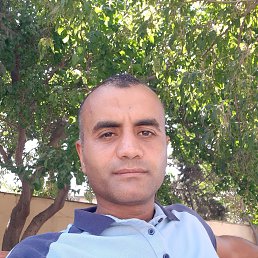 ���� Qrib, ����, 44 ���� - ��������� 2 �������� 2023