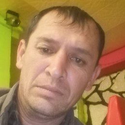 ������, �����-���������, 42 ����