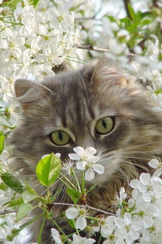 ���� - 7 ����� 2023 � 21:08