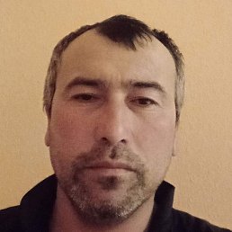 �����, ������, 44 ����