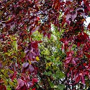 ���� ��������, �����������, 59 ��� - ��������� 30 �������� 2023 � ������ �������