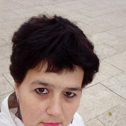 �������, 38 ���, ���������