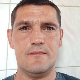 ���������, ���������, 47 ���