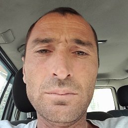 �����, ������, 40 ���