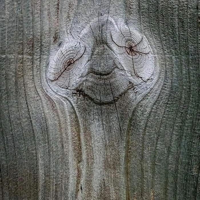    ,        .