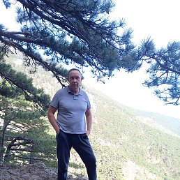 ����, �����, 53 ����