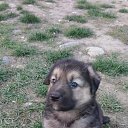 ���� ����, ���������, 50 ��� - ��������� 22 ���� 2023 � ������ ���� ����������