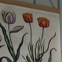 ������, ������, 28 ���