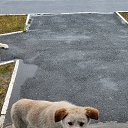 ���� ��������, ����������, 57 ��� - ��������� 30 ������� 2023