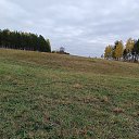 ���� �������, ������, 37 ��� - ��������� 3 ������� 2023 � ������ ���� ����������