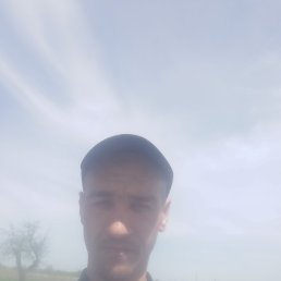 ����, ������, 40 ���