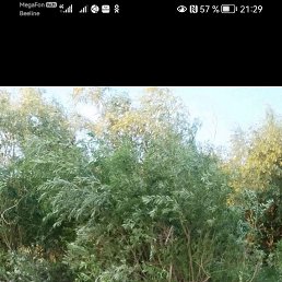 ���� ������, ������, 41 ��� - ��������� 10 ������� 2023