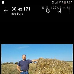 �������, �����, 51 ���