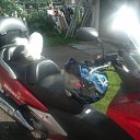 ���� �����, �����-���������, 64 ���� - ��������� 5 ������� 2023 � ������ ���� ����������